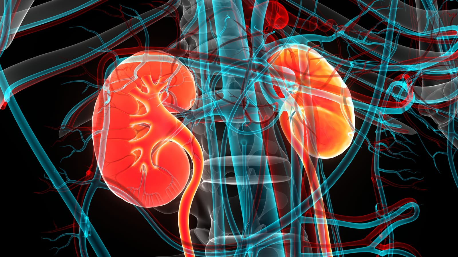 How to Avoid Intraoperative Acute Kidney Injury